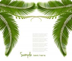 Green palm leaves backgrounds vector 05
