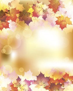 Autumn leaves with bokeh shiny background