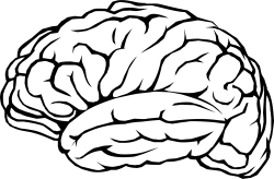 Brain Profile Line Art Icons PNG