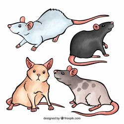 Cute mice set