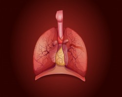 Diagram showing lungs with disease