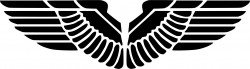 Eagle Wings Silhouette Icons PNG