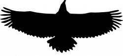Eagle Wingspan Silhouette Icons PNG
