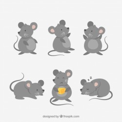 Flat mice collection