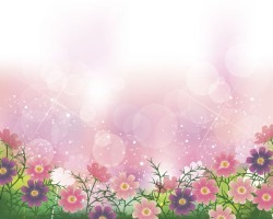Flower with pink background
