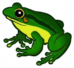 frog – coloured Icons PNG