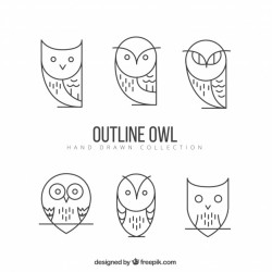 Geometric outline owl pack