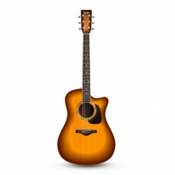 Guitar Realistic Isolated