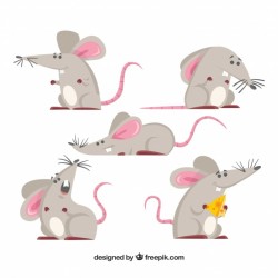 Hand drawn mice collection