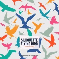 Silhouette flying bird background