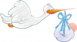 Stork Carrying Baby Boy Icons PNG