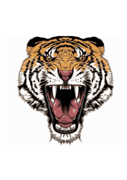 Tattoo design tiger Icons PNG