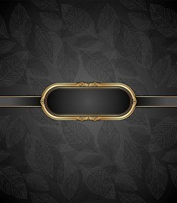 Golden frame with luxury dark background vector 07