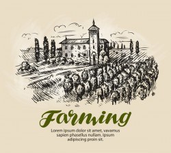Farming hand drawing background vectors 07
