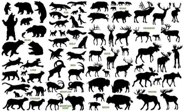 Wild animal silhouette set vector 02