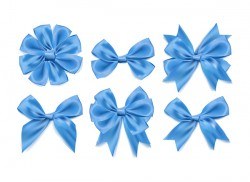 6 Kind blue ribbon bow vector set