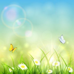 Grass and shinning sun vector background