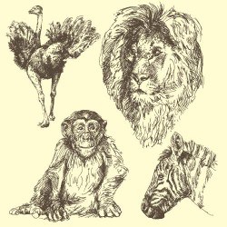 Hand drawing wild animal vector set 08