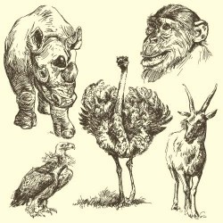 Hand drawing wild animal vector set 07