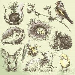 Hand drawing wild animal vector set 06