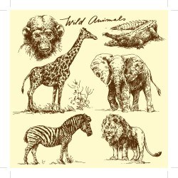 Hand drawing wild animal vector set 01