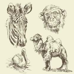 Hand drawing wild animal vector set 03