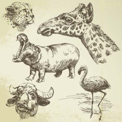 Hand drawing wild animal vector set 05