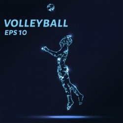Volleyball with points lines 3D vector