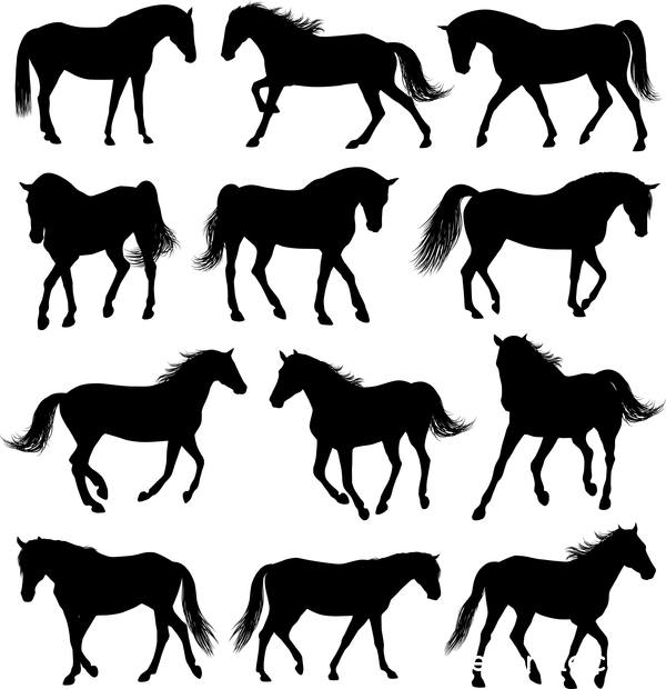 Vector horses silhouette set 01