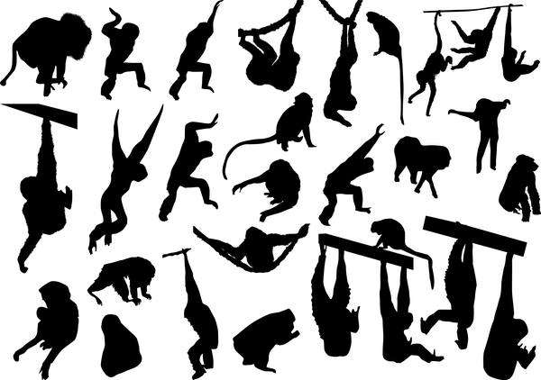 animal monkey silhouette vector 02