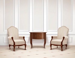 classic interior design vector