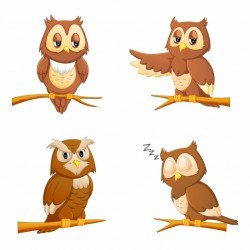 Cute owl cartoon