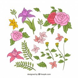 Elegant pack of hand drawn floral elements