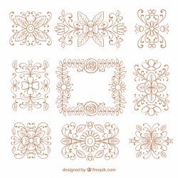 Elegant pack of hand drawn floral elements