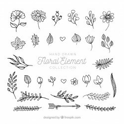 Elegant pack of hand drawn floral elements