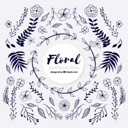 Elegant pack of hand drawn floral elements
