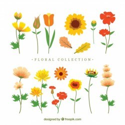 Modern floral elements with flat design