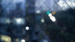 Wallpaper fence