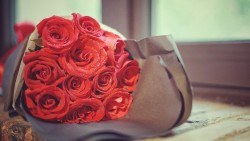 Wallpaper roses