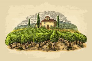 vineyard farm poster template vector 02