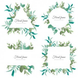 Beautiful Floral Frame Colleciton