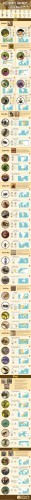 Bees, Hornets and Wasps of the World