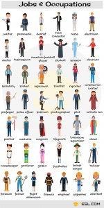 Jobs Vocabulary