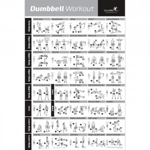 NewMe Fitness Dumbbell Workout Exercise Poster