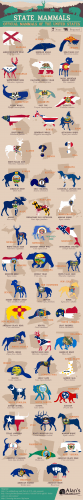 State Mammals: Official Mammals of the United States