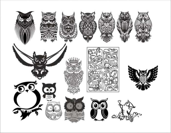 Large set of black and white owl vectors