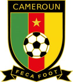 Federation Camerounaise de Football & Cameroon National Football Team Logo