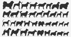 Illustration drawing style of dog