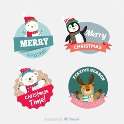 Lovely christmas label collection with flat design