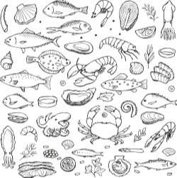 Sea Doodle Handdrawn